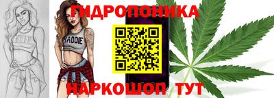 соль ск Аргун