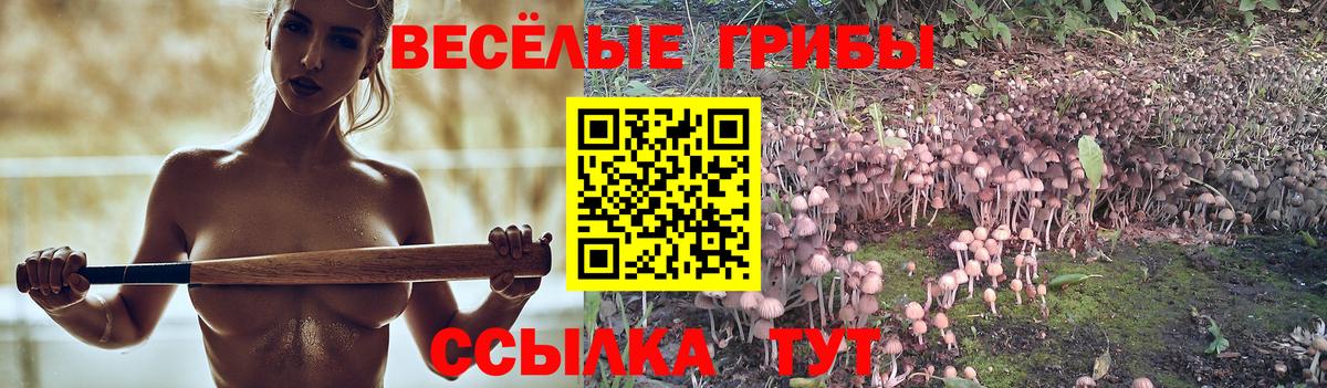Галлюциногенные грибы мицелий  Вход с VPN  Асино 
