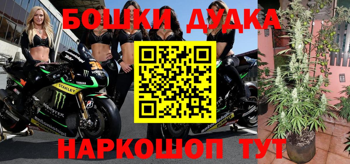 Канабис семена  Вход с VPN  Конопля THC 21%  Бошки Шишки план  Асино 
